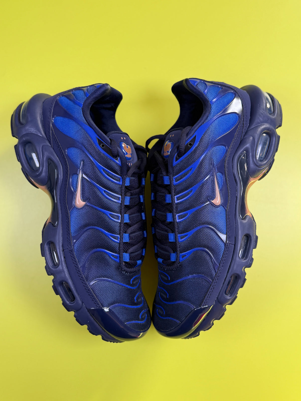 Nike Air Max Plus TN 🇫🇷